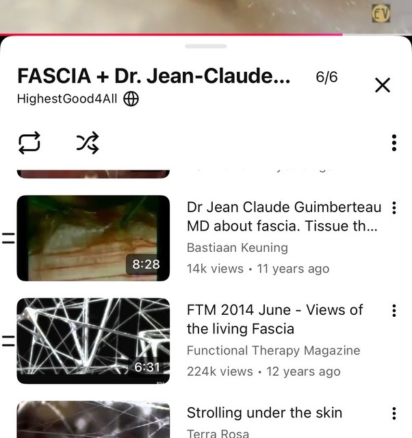 Screenshot of fascia and scar-work video resources explored during ScarWork training